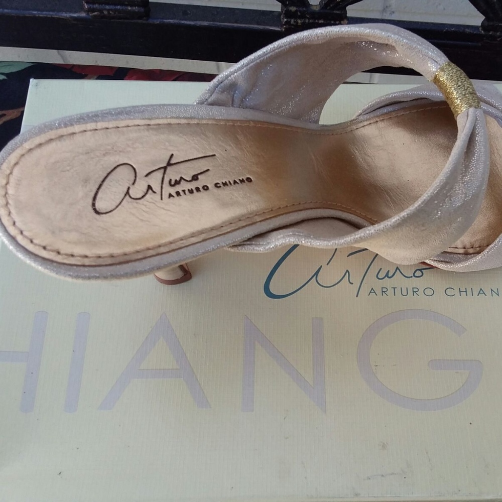 Arturo Chiang metallic mule size 10